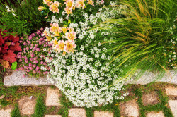 Entretien jardin   Hauts-de-Seine